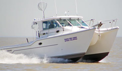 Lake Erie Fishing Charters pic