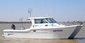 Lake Erie Fishing Charters Image